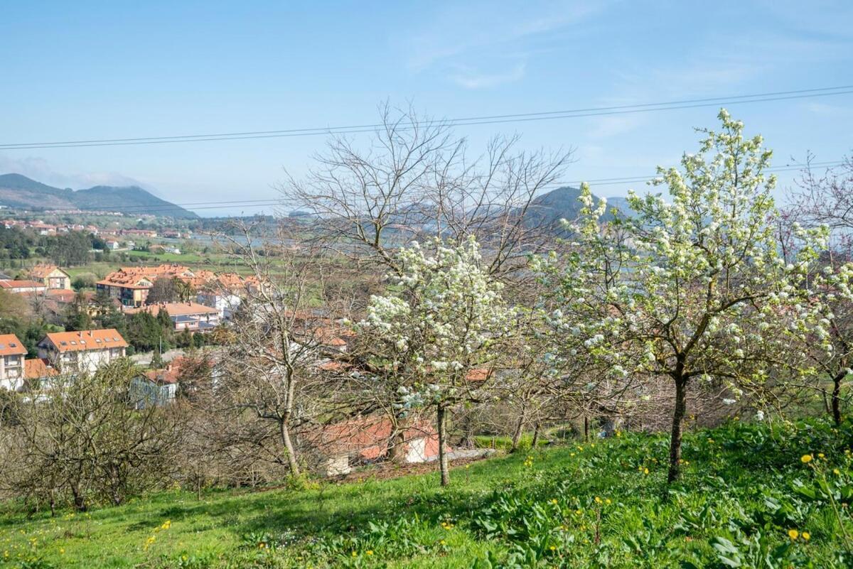 Casa Con Jardin En Gama Villa Bárcena de Cicero Dış mekan fotoğraf